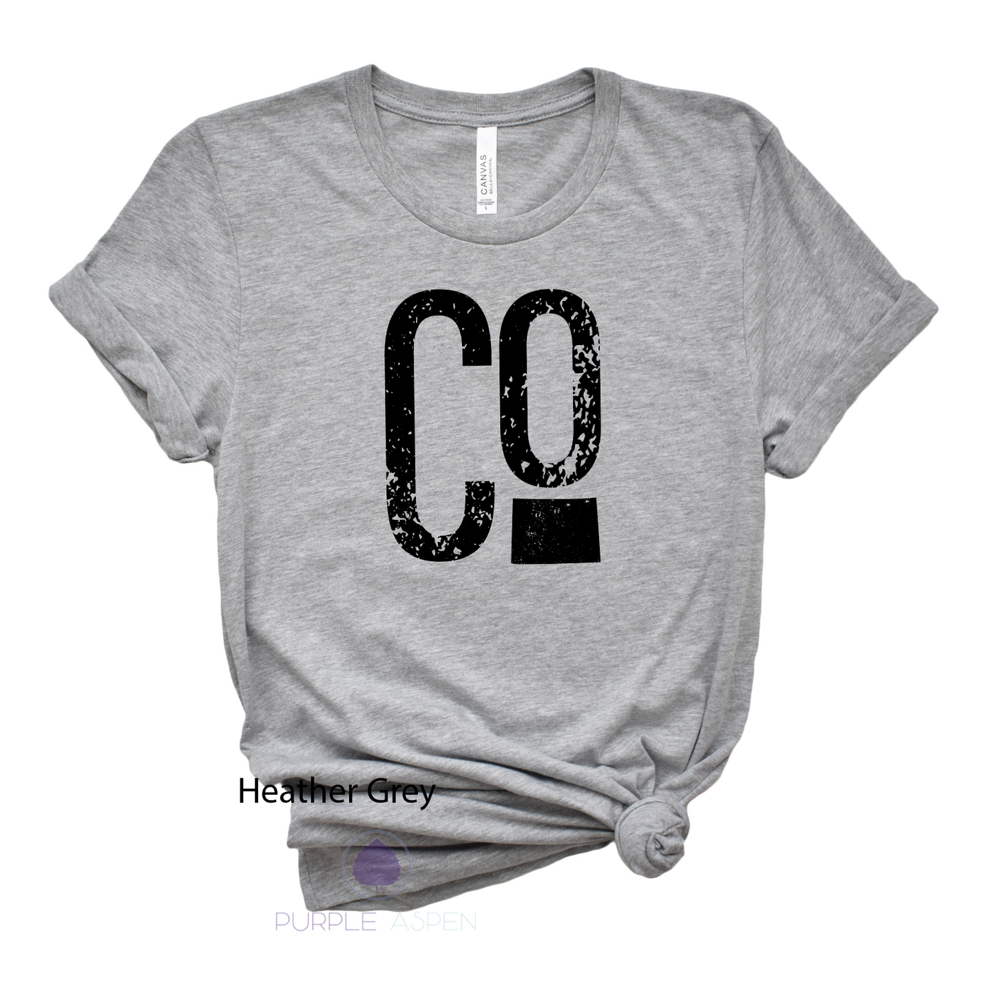 Colorado With State Premium Tee