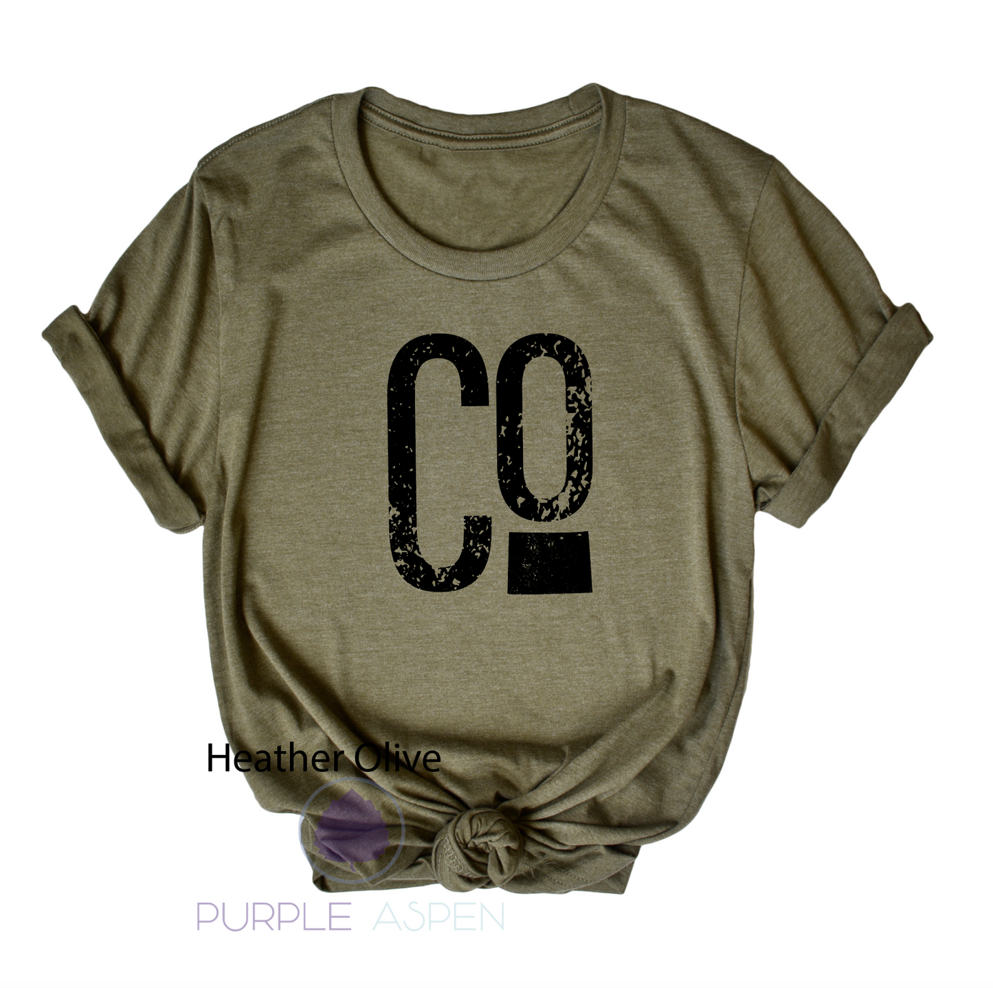 Colorado With State Premium Tee