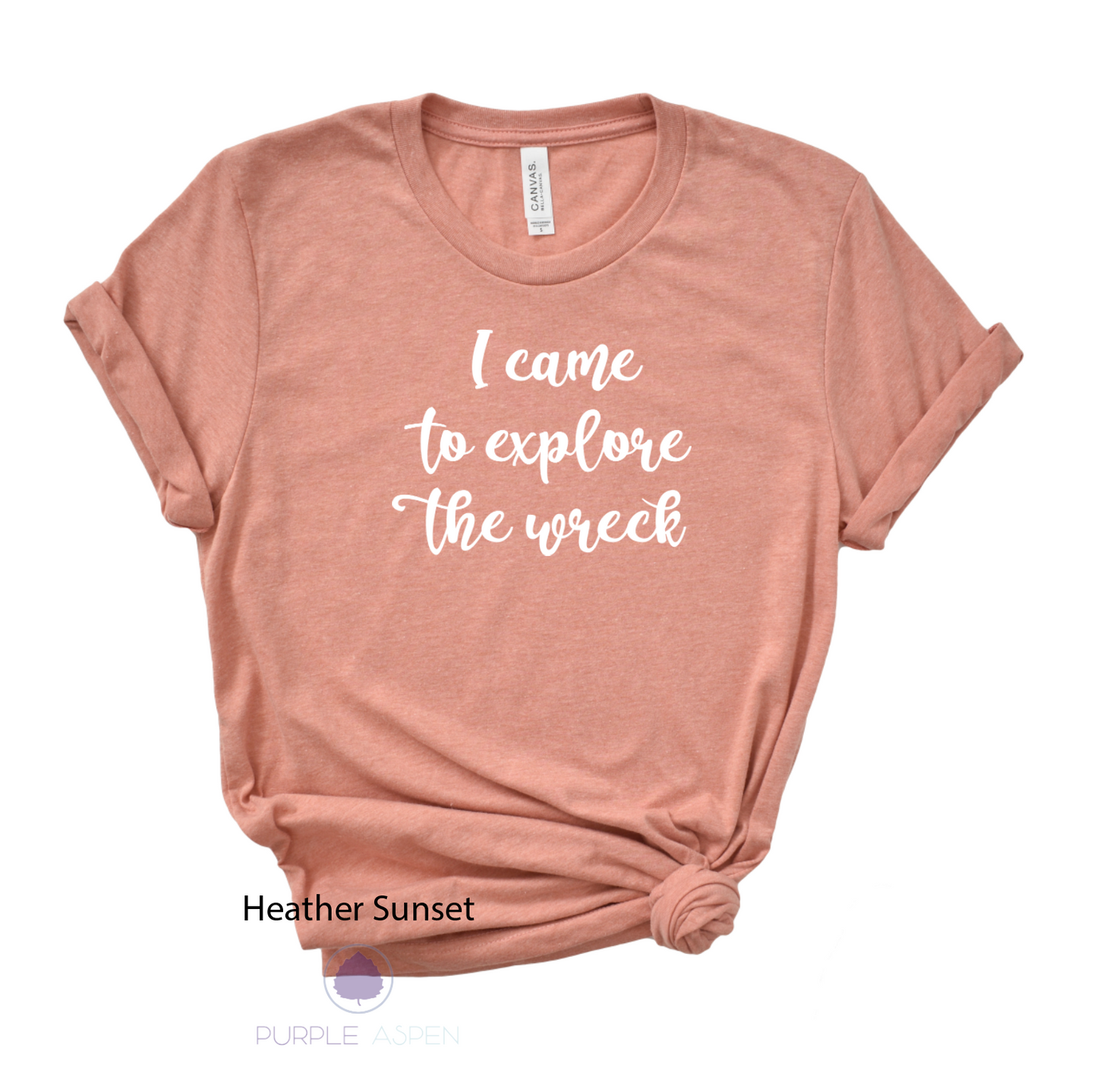 I came to explore the wreck premium Tee